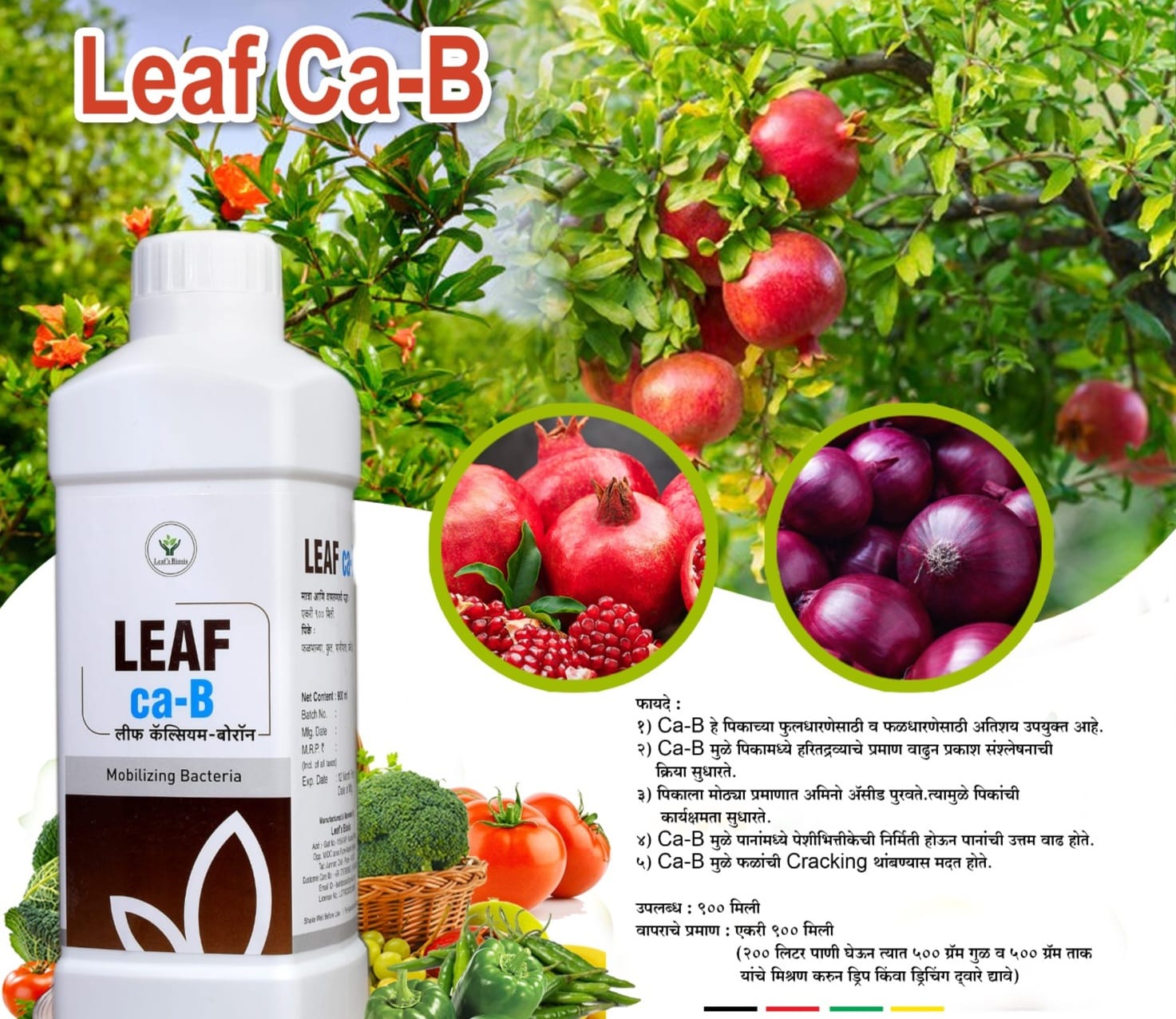Leaf Ca-B
