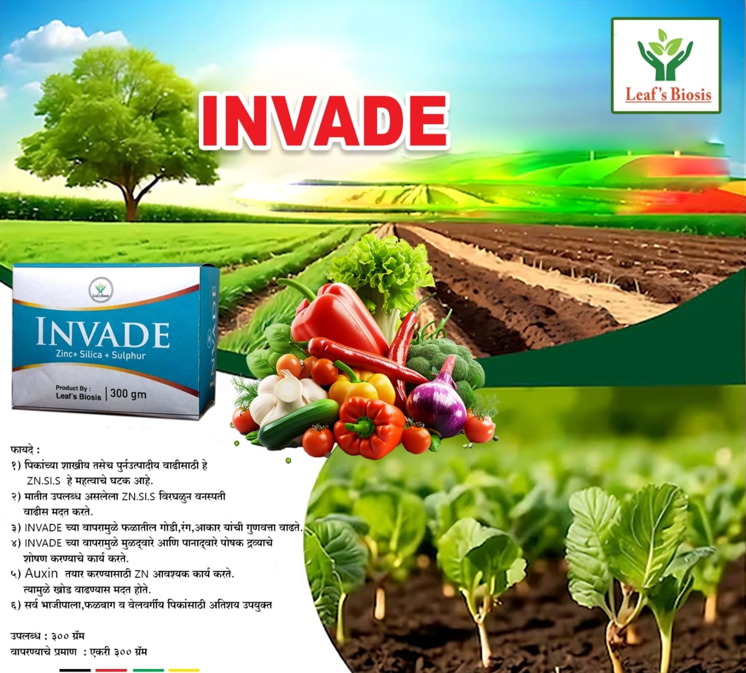 Invade